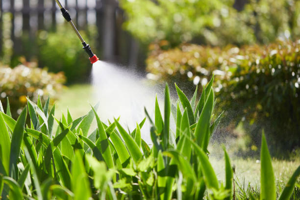 24/7 Emergency Ant Control experts in Binghamton, NY