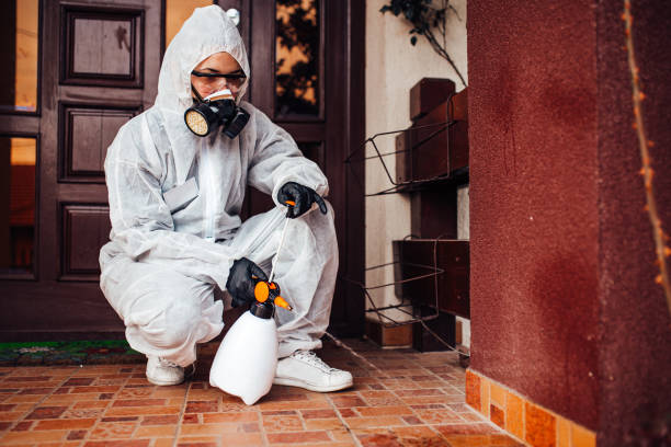 Reliable Ant Control contractor in Binghamton, NY by Show Me Pest Control