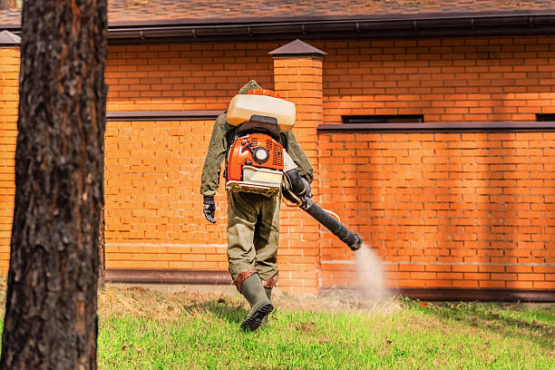 Top rated local Ant Control specialists in Binghamton, NY